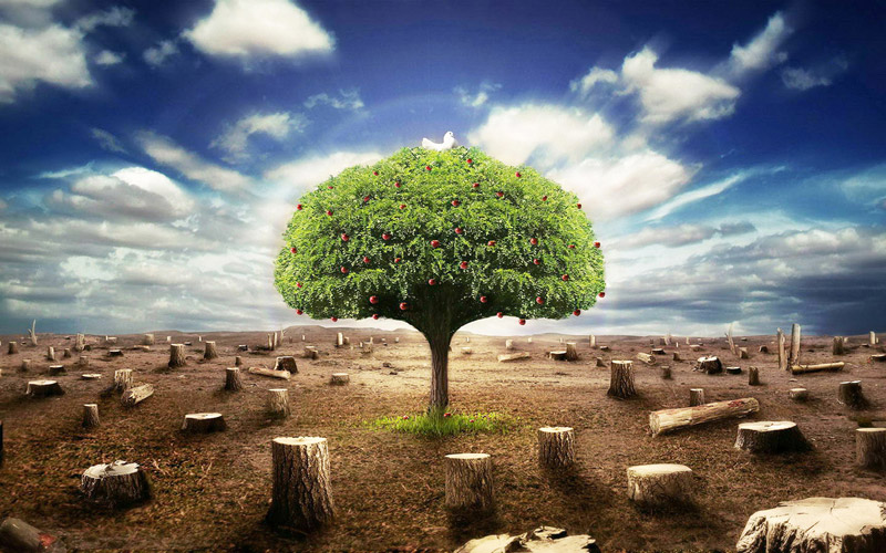 操作臺(tái)環(huán)?？刂剖疽鈭D